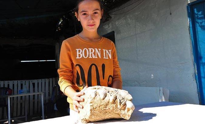 10 yaşındaki Elçin'in bulduğu kaya parçası için 'milyonlarca yıllık fosil' incelemesi