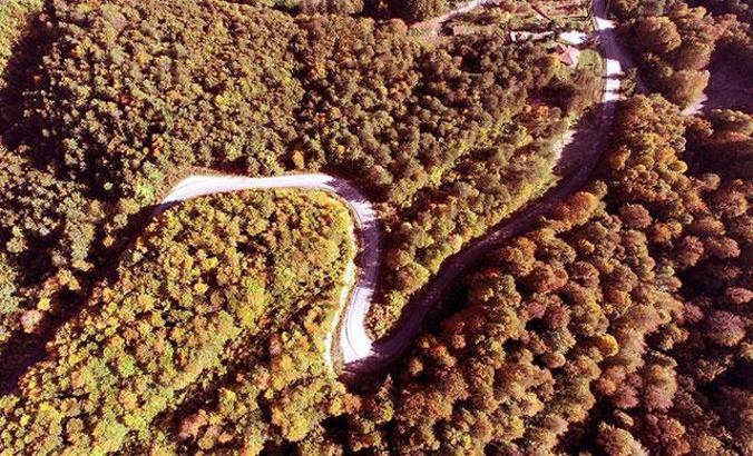 Zonguldak'ta kent ormanında sonbahar güzelliği