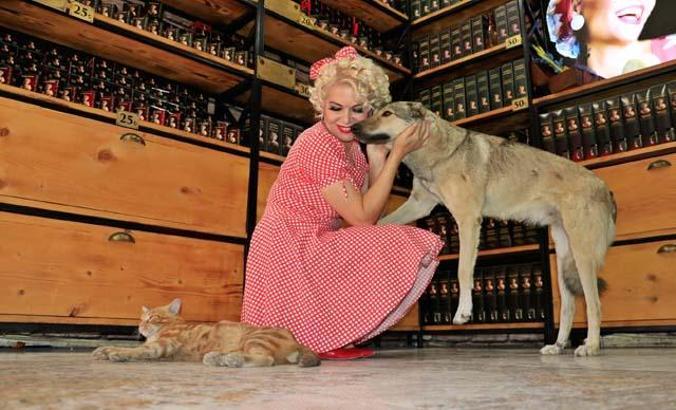 Mardinli Marilyn Monroe: Kazancımın yüzde 90'ını sokak hayvanlarına harcıyorum