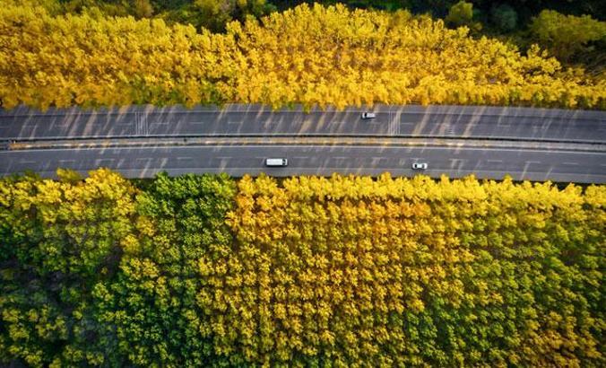 Tokat'ta sonbahar güzelliği