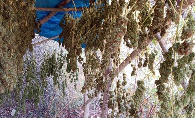 Hevsel Bahçeleri'ne uyuşturucu operasyonu: 4 gözaltı