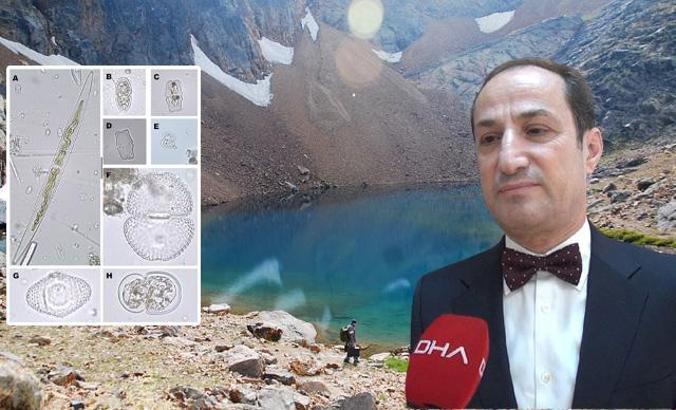 Türkiye'de 41 'alg' keşfedildi