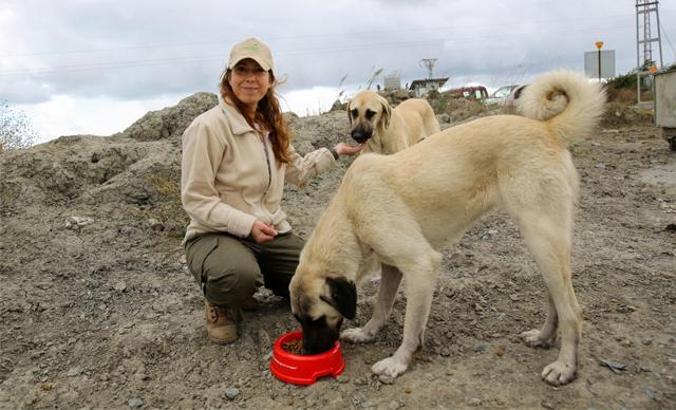'Doğa Dostu Araslar'dan sokak hayvanlarına mama desteği