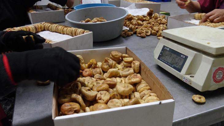 Aydın'da kuraklık kuru inciri de vurdu, kilo fiyatı 100 liraya çıktı