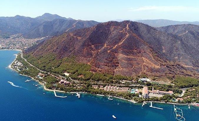 Muğla Orman Bölge Müdürü: 15 günlük yangınlarda 52 bin hektar alan zarar gördü