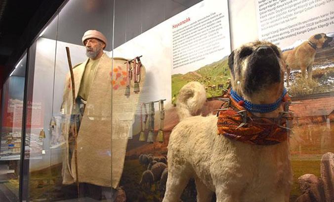 Sivas kültürüne ışık tutan Şehir Müzesi, ziyarete açıldı