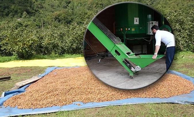 Güneşi görmeyen fındık, makineyle kurutuluyor