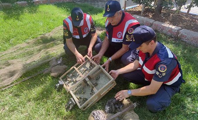 33 saka avına 43 bin lira ceza