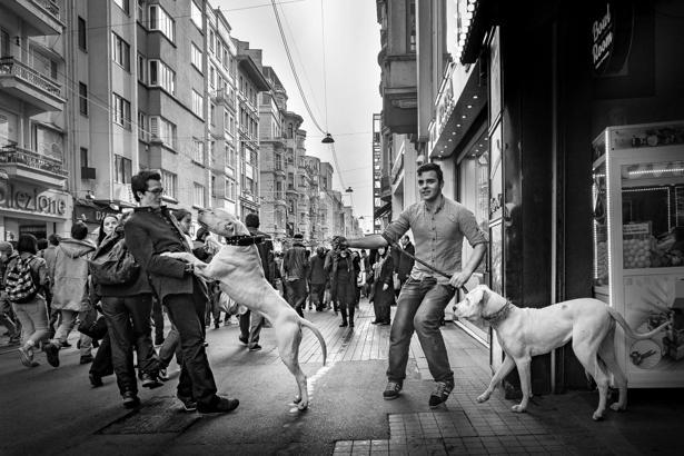 Fotosek’ten karma sergi; 70 fotoğrafçının siyah beyaz eserleri yer alıyor