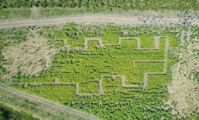 Türkiye'nin ilk Mısır Labirenti kapılarını açtı