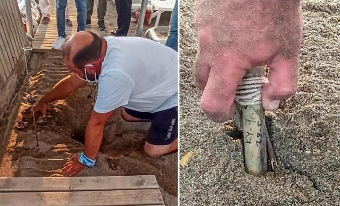 '5 yıldızlı caretta katliamı'nda iki oteli ağır cezalar bekliyor