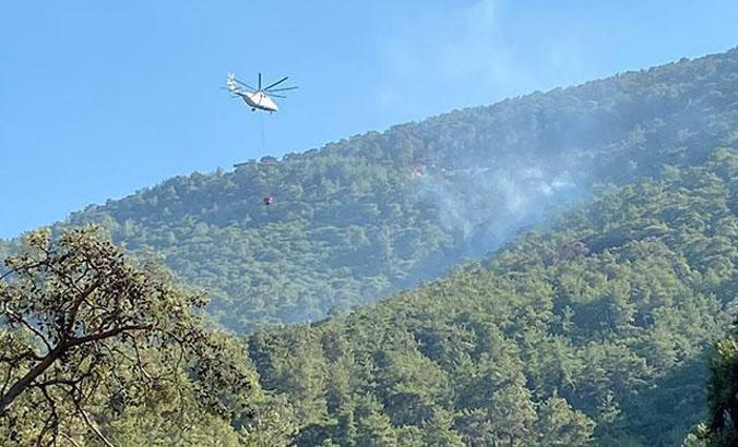 Milas'ta orman yangını büyümeden kontrol altına alındı