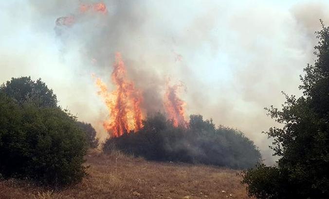 Kula'da makilik yangını söndürüldü