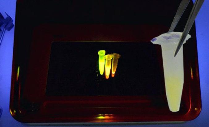 Sprey ilaç dünyada ilk olacak, tüm varyantlarda etkili olması bekleniyor