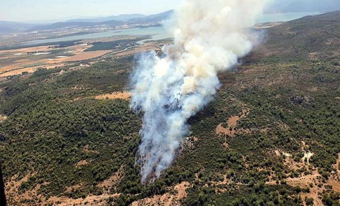 Menderes'te orman yangını kontrol altında