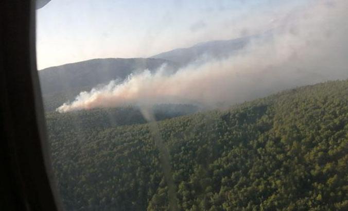 Çeşme'deki orman yangını tamamen kontrol altına alındı