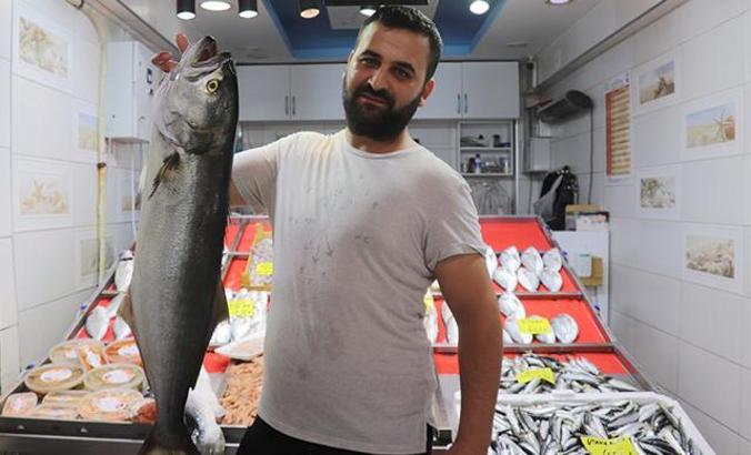 Çanakkale'de 6 kiloluk sırtıkara 900 liradan satışa sunuldu