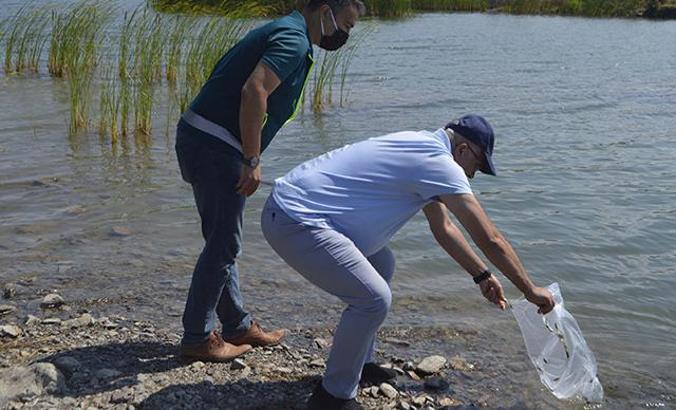 Kütahya'da 8 gölete 80 bin yavru sazan