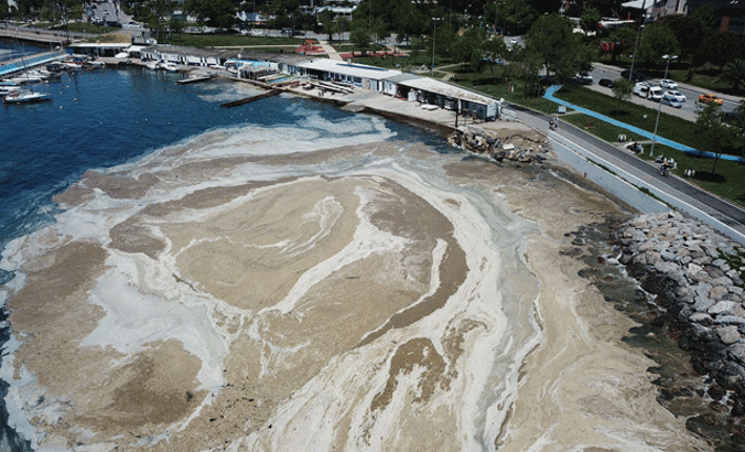 Kadıköy Caddebostan Sahili'nde deniz salyası