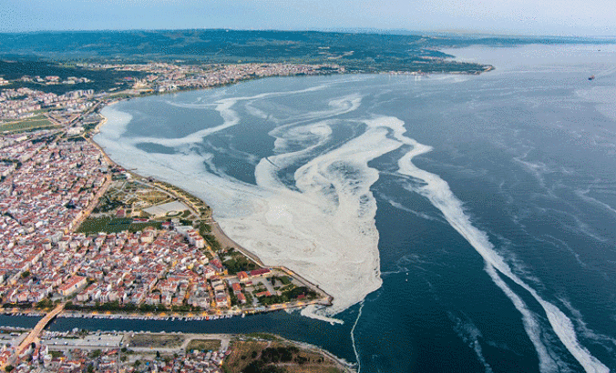 Çanakkale Boğazı'nı kaplayan 'deniz salyası' havadan görüntülendi