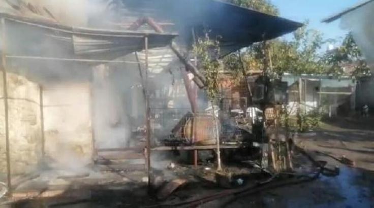 Linda ve 5 yavrusu yangında öldü