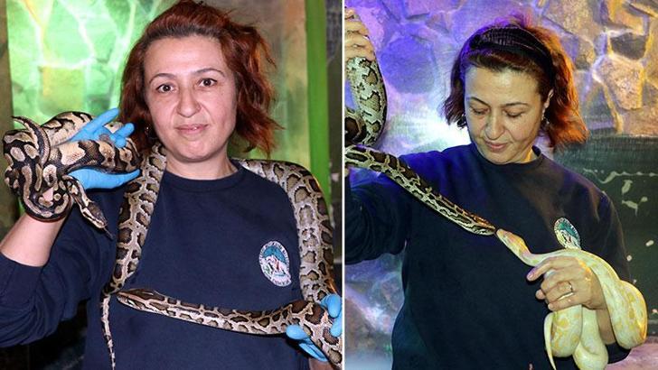 Güvenlik görevlisi olarak başladığı hayvanat bahçesinde yılan bakıcısı oldu