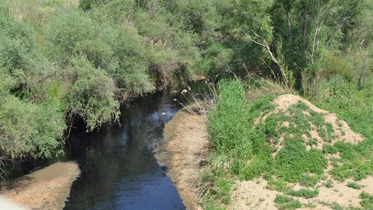 Manisa'da Gediz'i kirleten işletmelere ceza yağdı