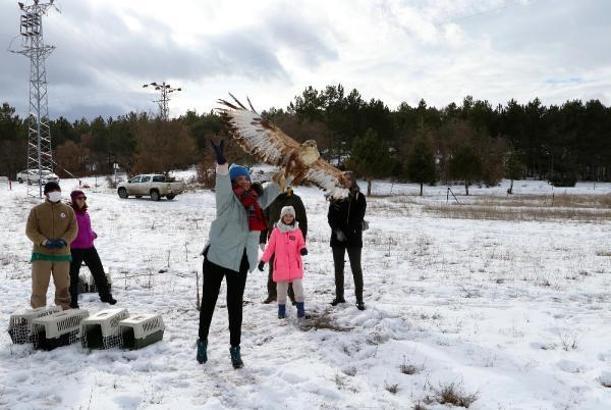 Eskişehir'de tedavi edilen kuşlar doğaya salındı
