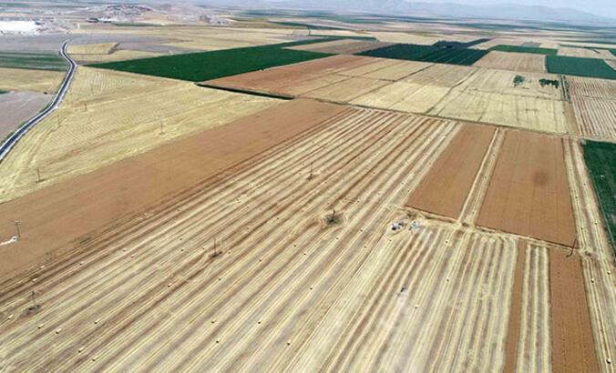 Hububat ihracatı yüzde 41 arttı; Hindistan’a rekor ihracat