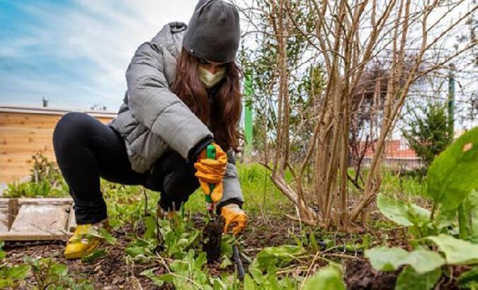 Dünyada 85 milyon insan kent tarımıyla ilgileniyor