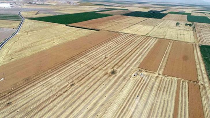 Grain exports increased by 41 percent; A record export to India