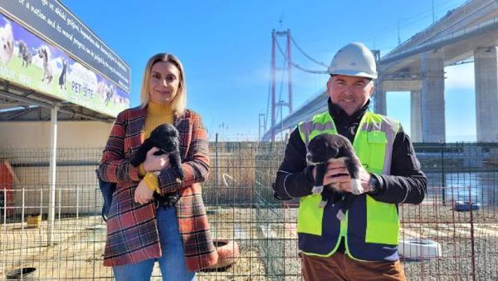 1915 Çanakkale Köprüsü'ne can dostlar için barınak