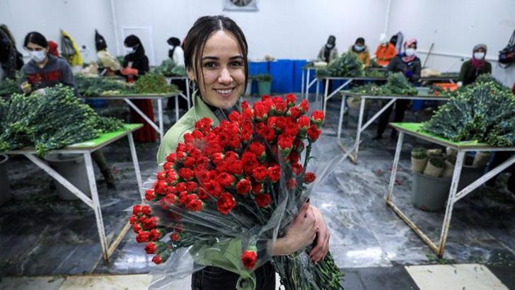 Antalya'dan Avrupalı sevgililere 65 milyon dal çiçek