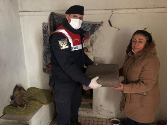 Jandarmadan kedi evine mama ve battaniye yardımı