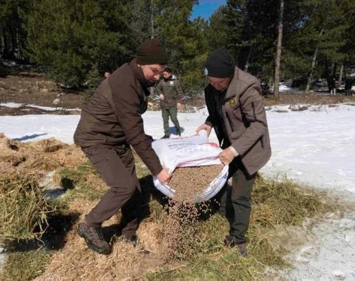 Afyonkarahisar'da yaban hayvanları için yem bırakıldı