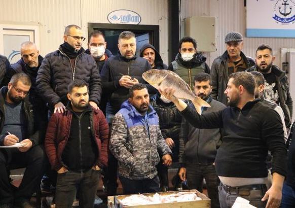 Mezatta ucuz balık rekabeti