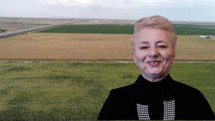 'Tarlada sera gazını azalttıkça gıda güvenliğimiz artar'