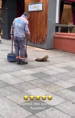 Temizlik görevlisi ile kedinin eğlenceli oyunu kamerada