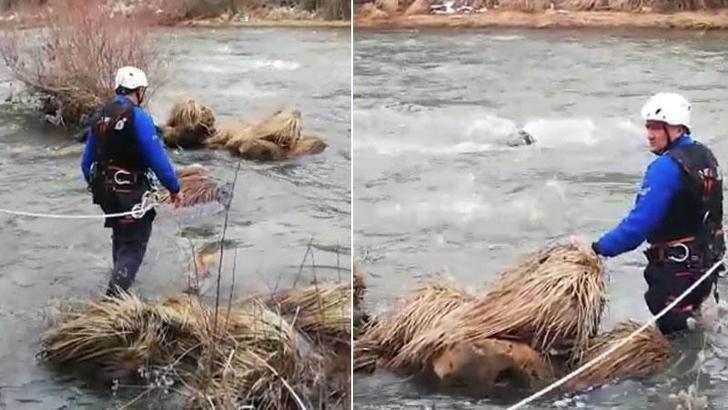 Çaya düşen ördeğin peşinden giden avcı boğuldu