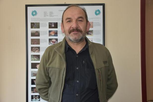 Türkiye’de 39, Niğde’de 10 tür yarasa çeşidi bulunuyor