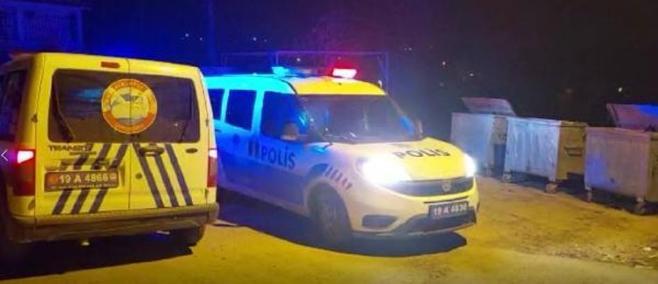 5 yavru köpek çöp konteynerinde ölü bulundu
