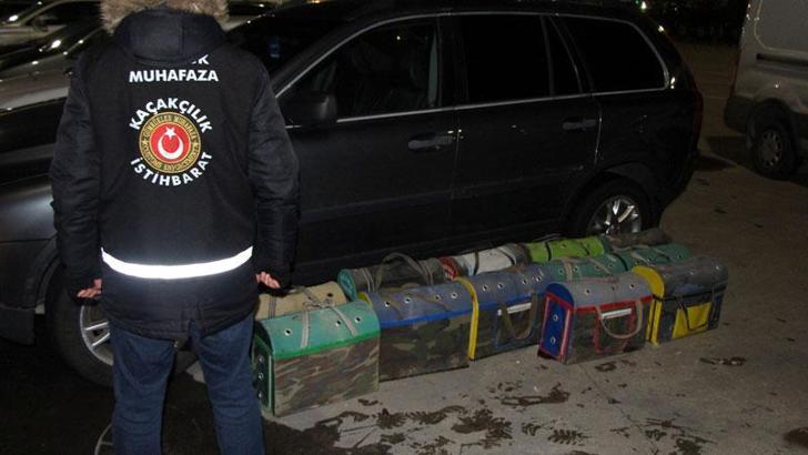 Kapıkule’de terk edilen 34 horoz ve tavuk yavrusu kurtarıldı