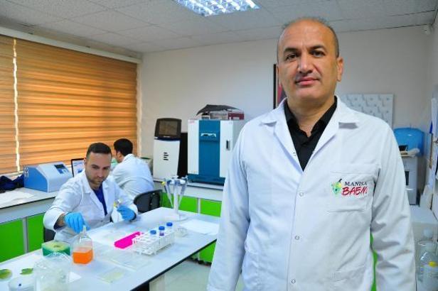 Ege Bölgesi'nde yetişen 380 üzüm çeşidi kimlik kazandı