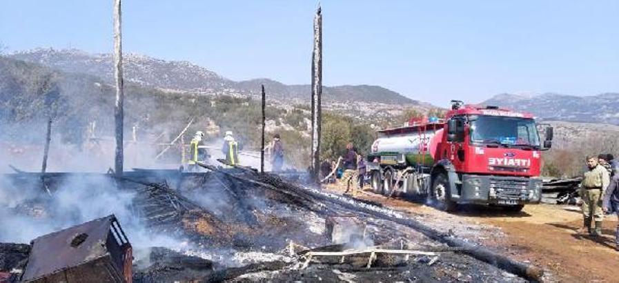 Ahırdaki yangında 46 küçükbaş öldü