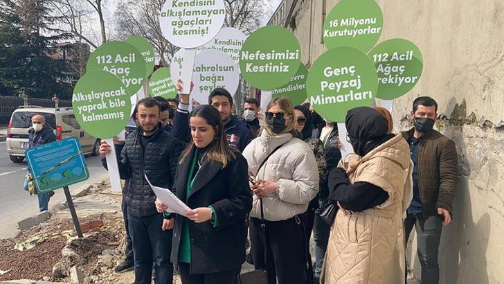 Mimari ve Şehircilik Platformu üyelerinden kesilen çınar ağaçları için protesto