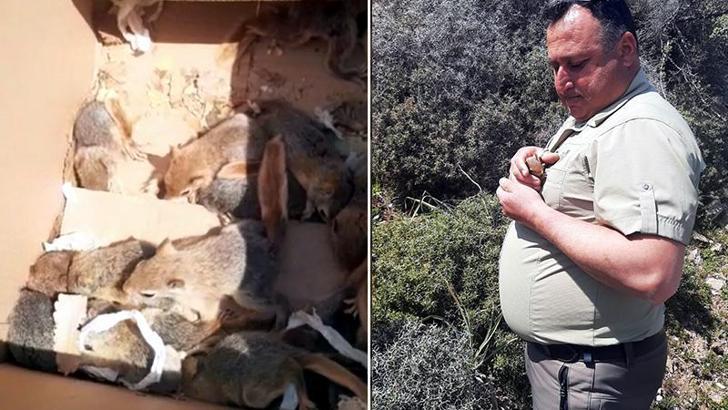 İş yerinde ticareti ve evde beslenmesi yasak 17 sincap ele geçirildi