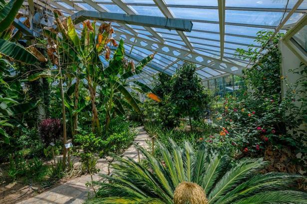 700'ün üzerinde bitki çeşidiyle şifa dağıtıyor