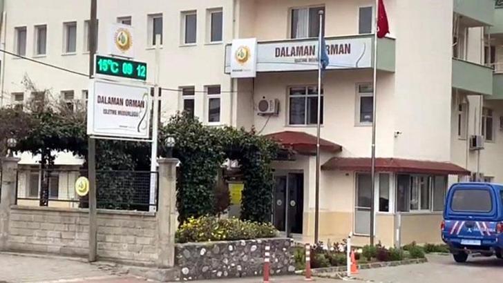 Muğla'da 'rüşvet' operasyonu; orman işletme müdürü dahil 25 gözaltı