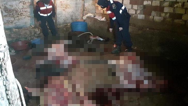 Akhisar'da at ve eşek kesen 5 kişi suçüstü yakalandı