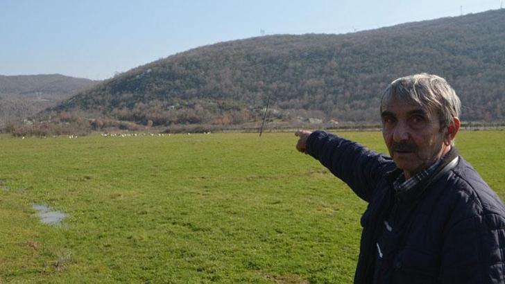 Yüzlerce leylek Savaştepe'de mola verdi